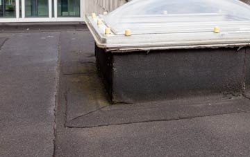 disadvantages of West Helmsdale flat roofs