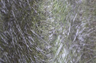 West Helmsdale fibreglass roof work